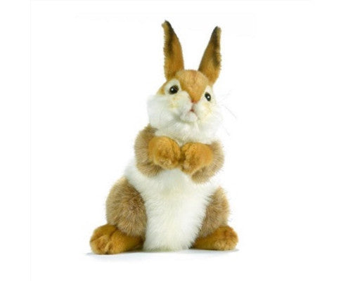 Bunny Plush 30cm - SM Everyday Living